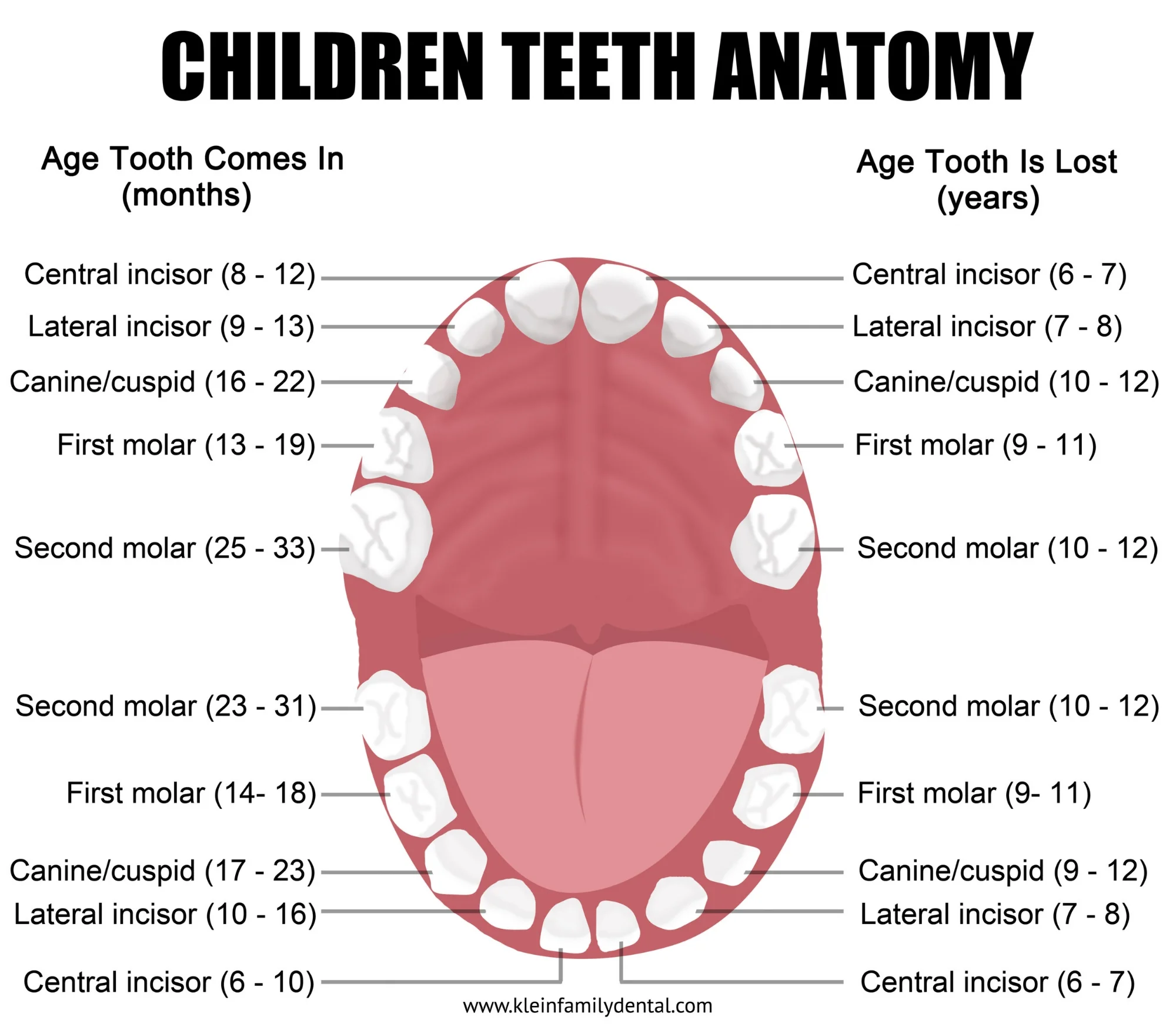 Expert Pediatric Dental Specialists