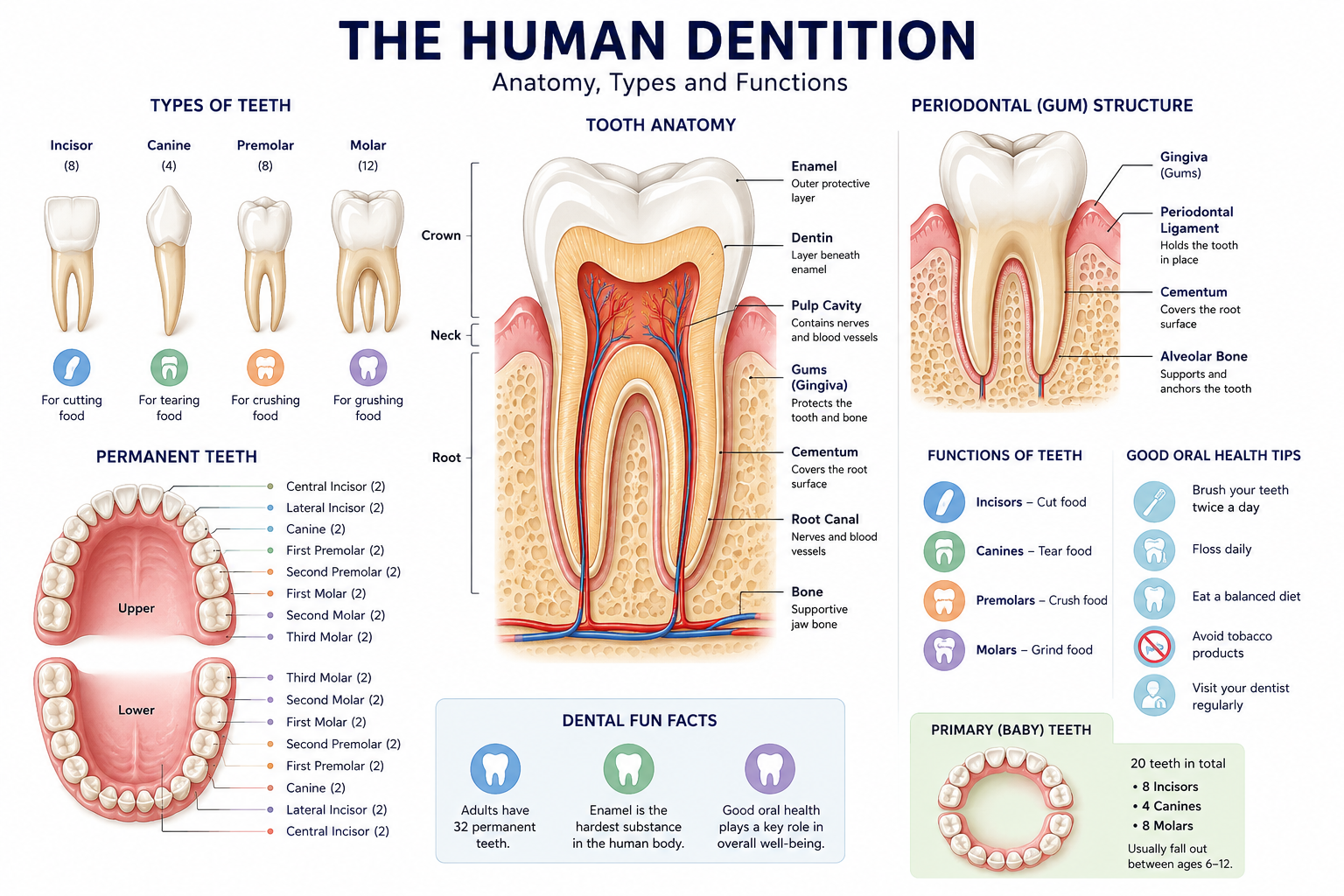 Home 14 Choose the Best Dentist in Atlanta